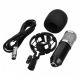 Bm 800 Mic Kit Condenser Microphone