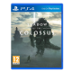 Sony PS 4 SHADOW OF COLOSSUS GAME CD
