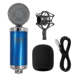 PROFESSIONAL BM-900 CONDENSER MICROPHONE
