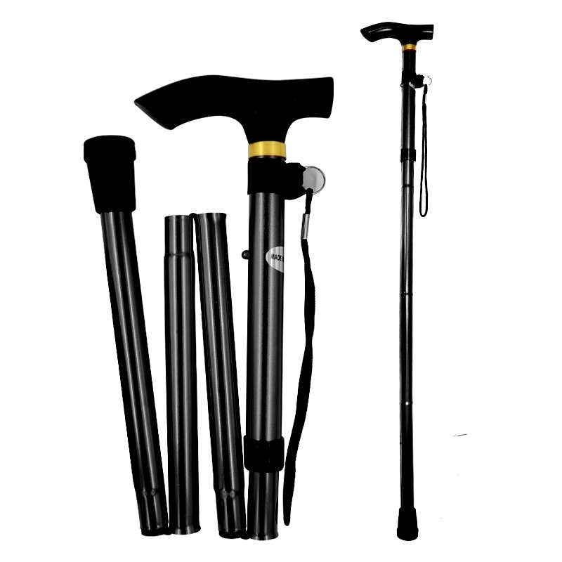 WALKING STICK
