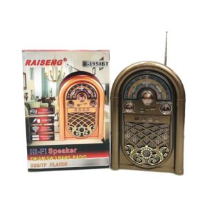 RAISENG R-1950BT HI-FI SPEAKER FM-AM USB-TF PLAYER RADIO
