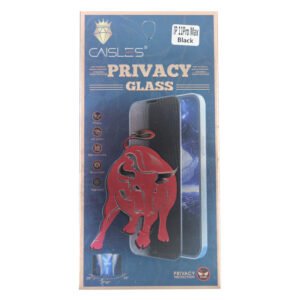 CAISLES APPLE IPHONE SCREEN PROTECTOR GLASS PRIVACY_ (4D)