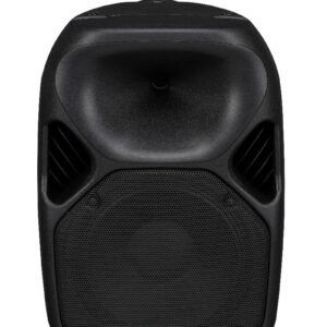 WHARFEDAL TITAN X12 SPEAKER