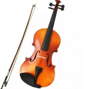 TANSEN FM 4/4 Plywood Violin