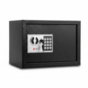 Dlc Electronic Safety Safe 55101