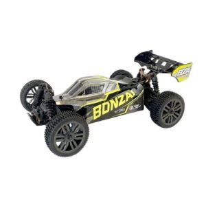 Cleo-TY Remote Control RC Car BOZ1012A