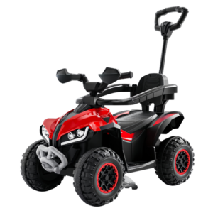 Cleo-TY 2 In 1 Electric Kids Bike