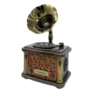 Feexot Portable Radio AM/FM/SW FX-2503B