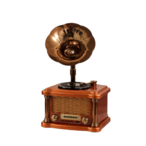 راديو محمول Feexot طراز FX-2505B (يدعم موجات AM/FM/SW)